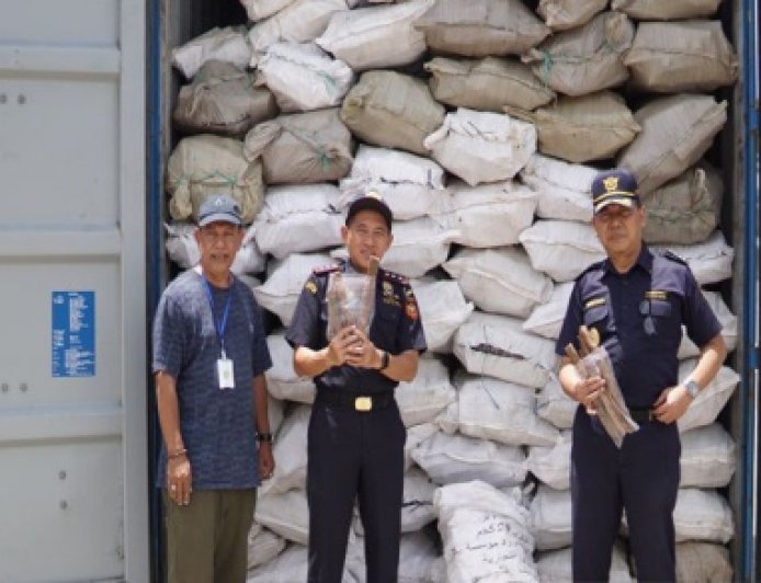 Kayu Damar Kalsel Tembus Pasar Arab Saudi