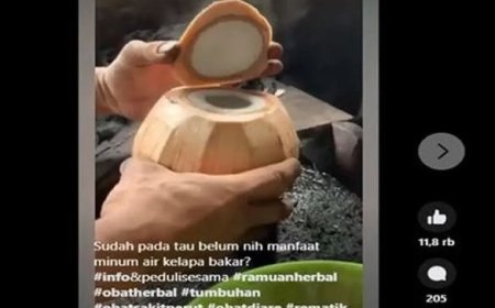Menkonsumsi Air Kelapa Muda Bakar Bisa Hancur Batu Ginjal?Klaim Itu Hoaks Lho