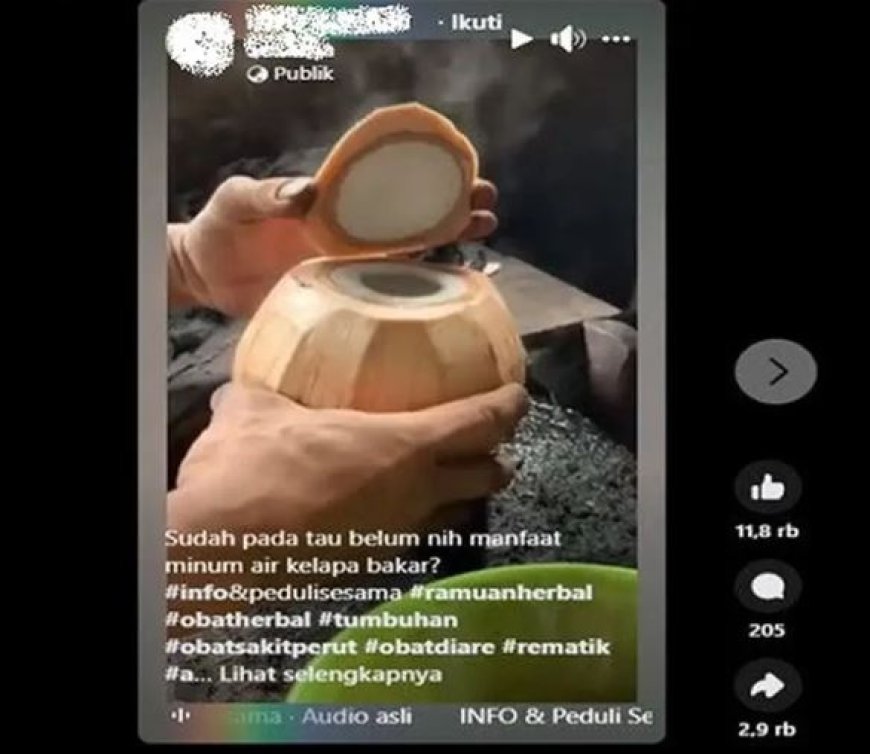 Menkonsumsi Air Kelapa Muda Bakar Bisa Hancur Batu Ginjal?Klaim Itu Hoaks Lho