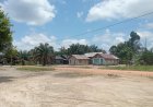 Hutan Adat di Desa Tempayung “habis” Akibat Perkebunan, Padahal  Mampu Produksi Getah Karet 30 Ton Perbulan