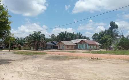Hutan Adat di Desa Tempayung “habis” Akibat Perkebunan, Padahal  Mampu Produksi Getah Karet 30 Ton Perbulan