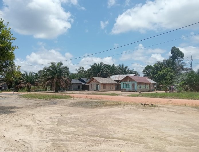 Hutan Adat di Desa Tempayung “habis” Akibat Perkebunan, Padahal  Mampu Produksi Getah Karet 30 Ton Perbulan