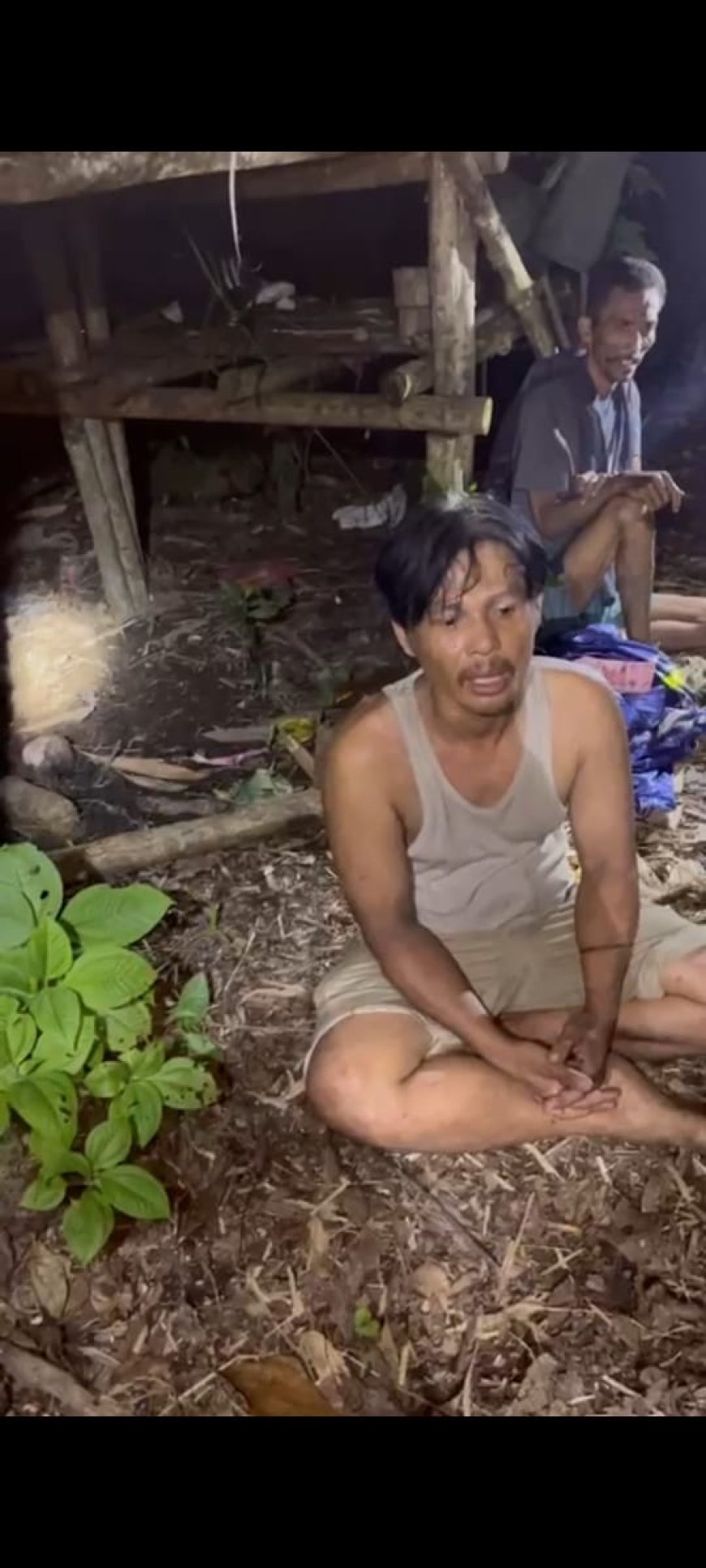 Ternyata Oh Ternyata, Yang Tangkap Pelaku Pencuri 1 Milyar di Pangkalan Bun Adalah Kancil Warga Delang di Kebun Yamaha