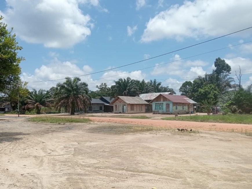 Hutan Adat di Desa Tempayung “habis” Akibat Perkebunan, Padahal  Mampu Produksi Getah Karet 30 Ton Perbulan